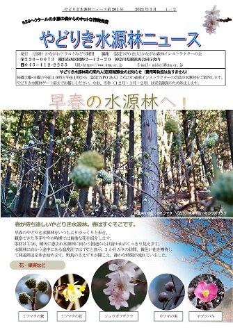 水源林ニュース