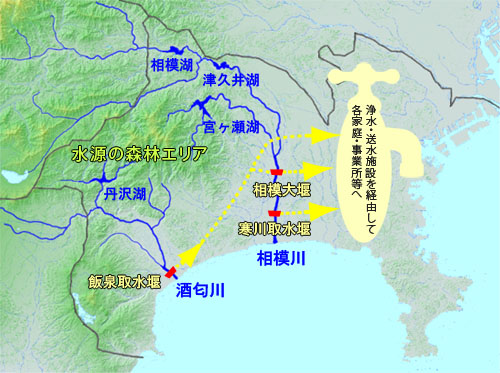 神奈川の水