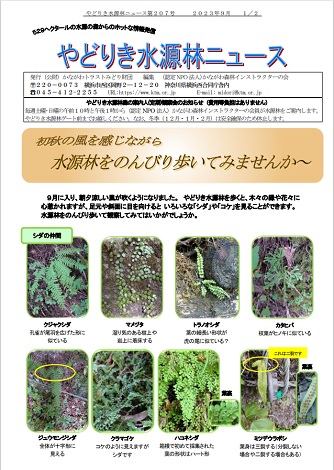 水源林ニュース