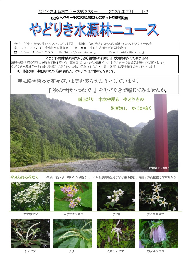 水源林ニュース