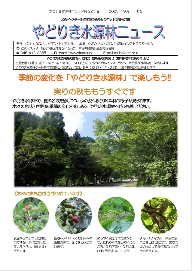水源林ニュース