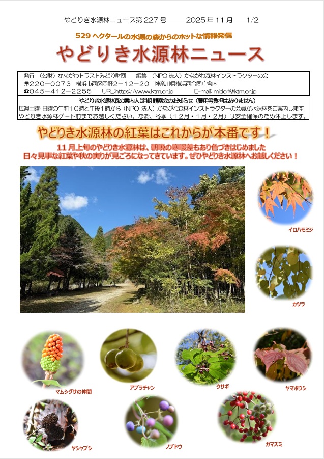 水源林ニュース