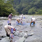 水生観察